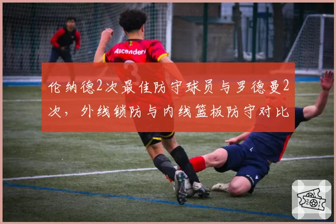 伦纳德2次最佳防守球员与罗德曼2次，外线锁防与内线篮板防守对比