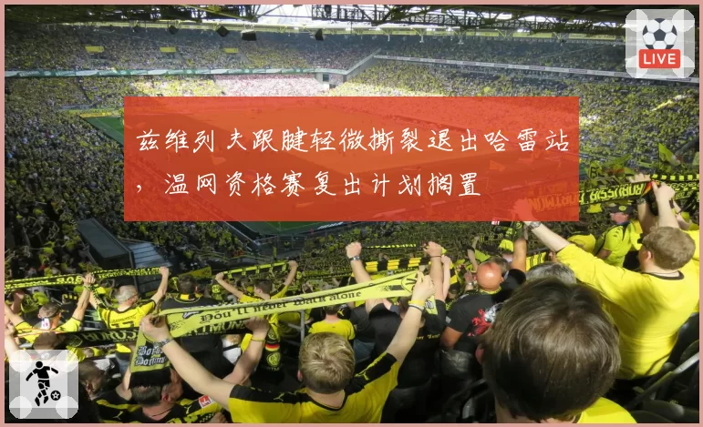 兹维列夫跟腱轻微撕裂退出哈雷站，温网资格赛复出计划搁置